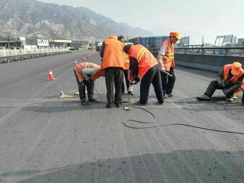 金湖道路桥梁病害治理